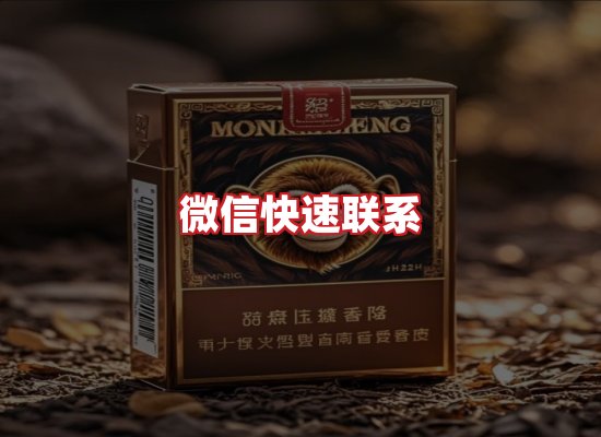 专业团队